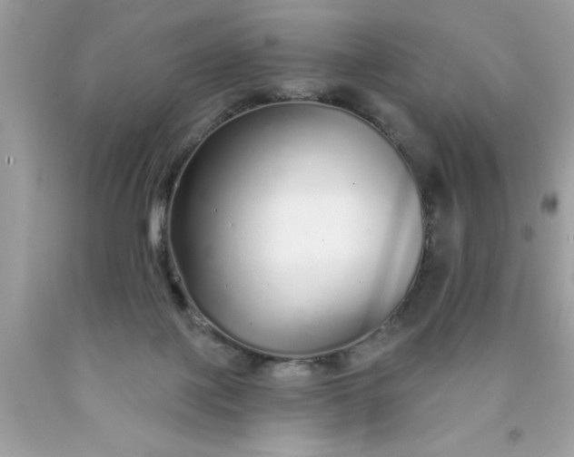 X0000090460075200707272246