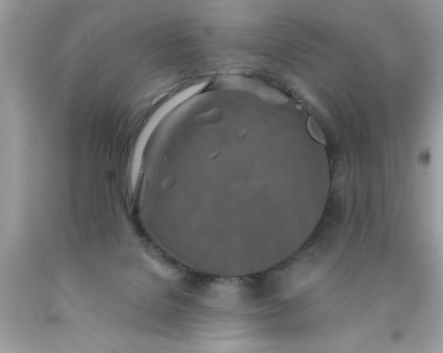 X0000090460076200707272246