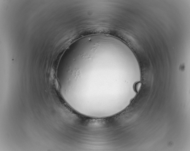 X0000090460077200707272246