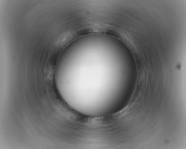 X0000090460078200707272246