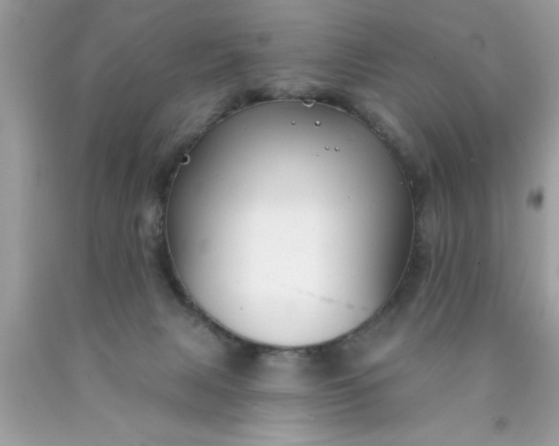 X0000090460079200707272246