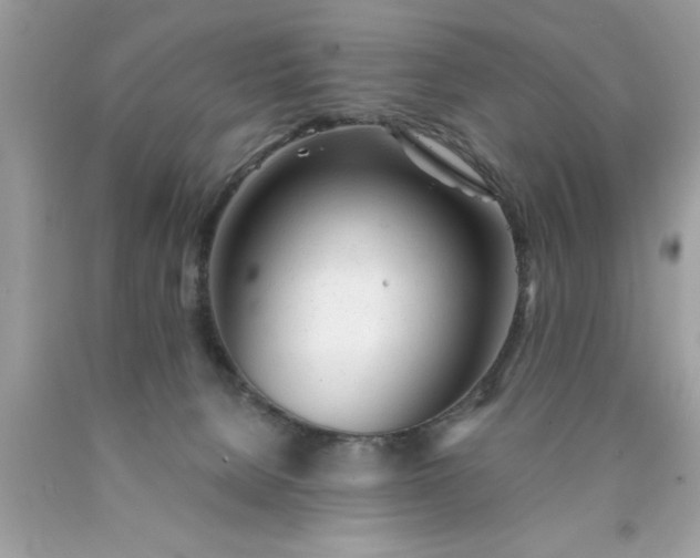 X0000090460080200707272246
