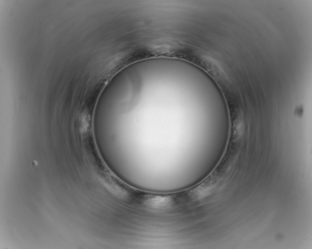 X0000090460081200707272246
