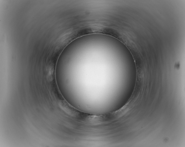 X0000090460082200707272246