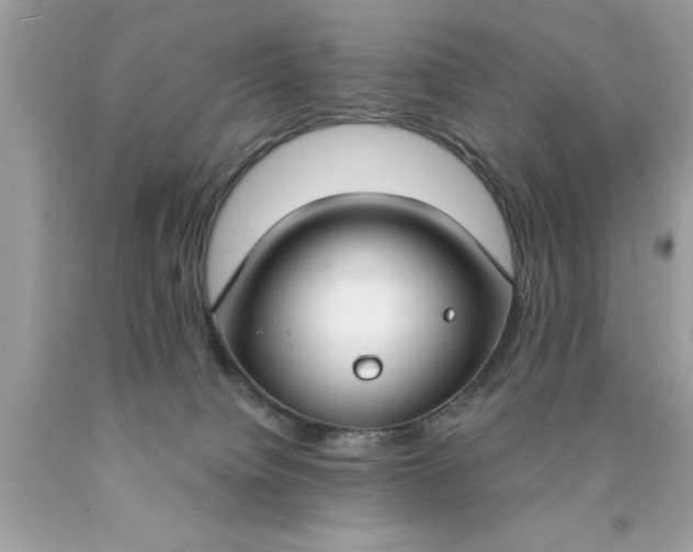X0000090460084200707272246