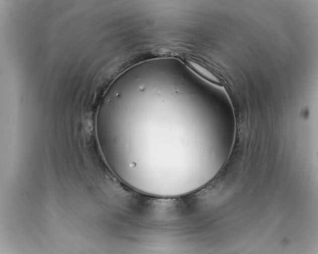 X0000090460085200707272246