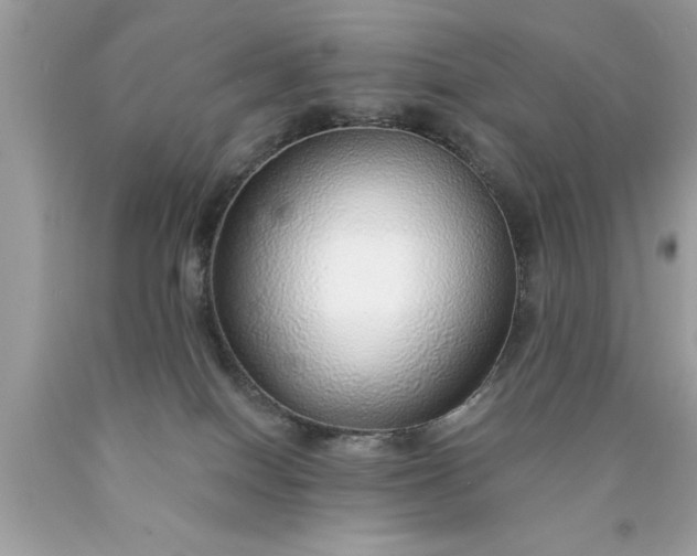 X0000090460086200707272246
