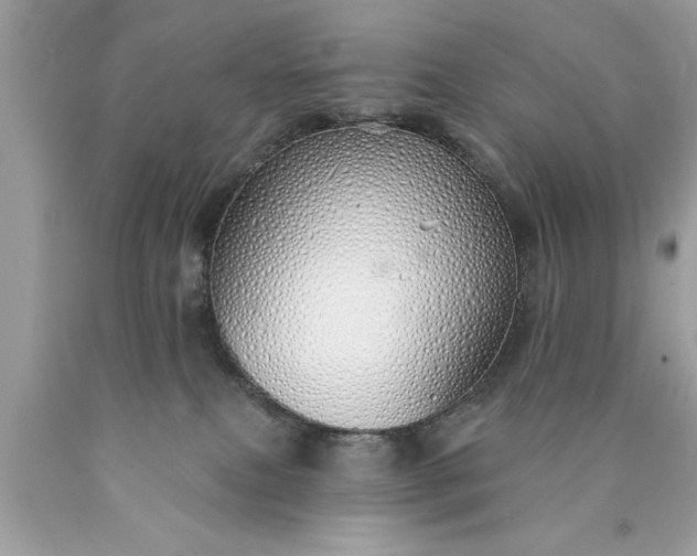 X0000090460087200707272246