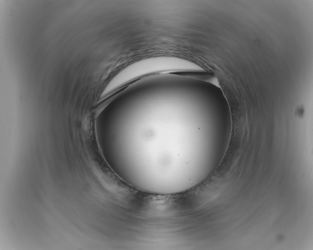 X0000090460088200707272246