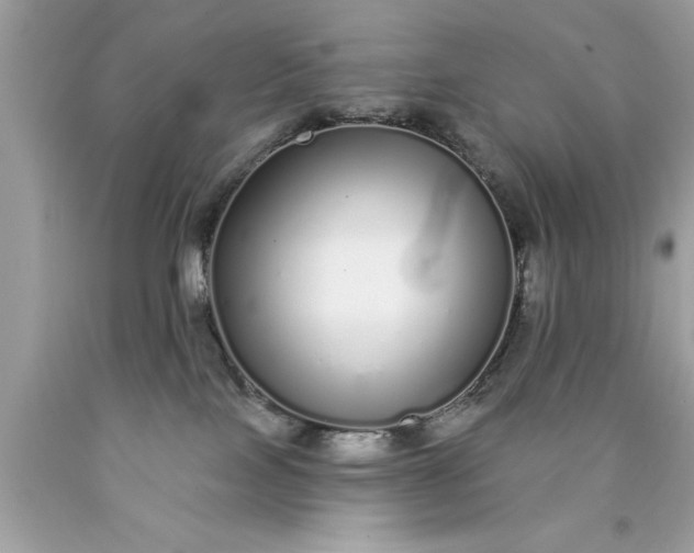 X0000090460089200707272246