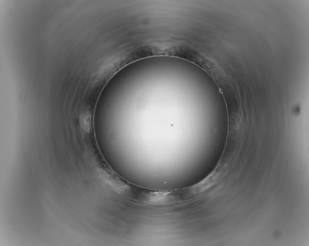 X0000090460090200707272246