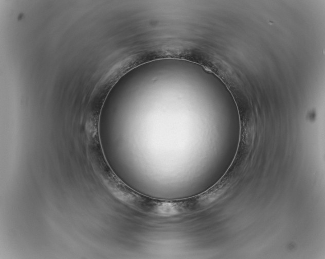 X0000090460091200707272246