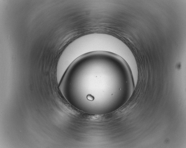 X0000090460092200707272246
