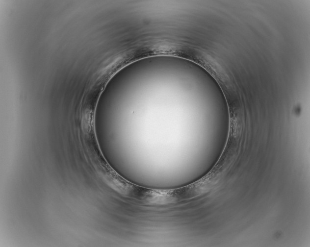 X0000090460093200707272246