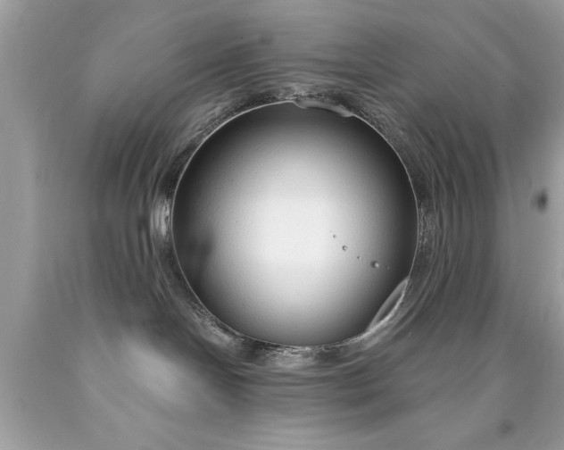 X0000090460094200707272246