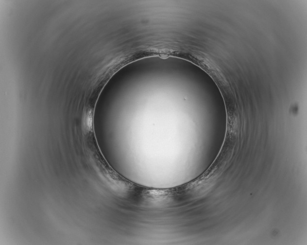 X0000090460095200707272246
