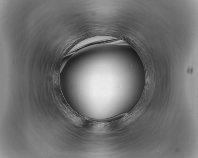 X0000090460096200707272246