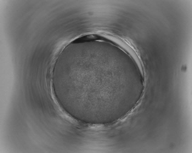 X0000090460097200707272245