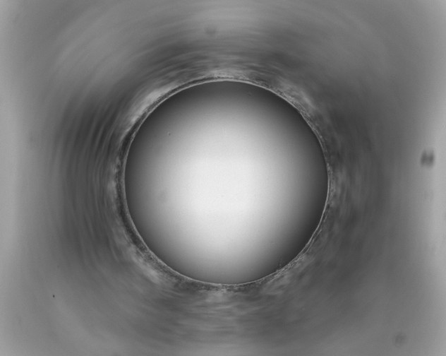 X0000090460098200707272245