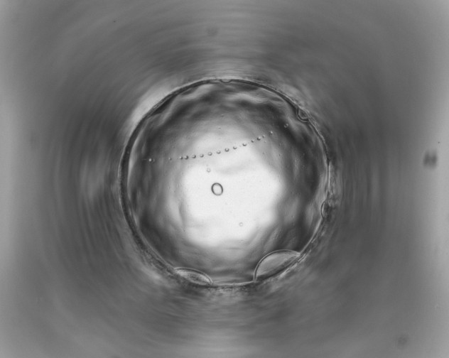 X0000090460099200707272245