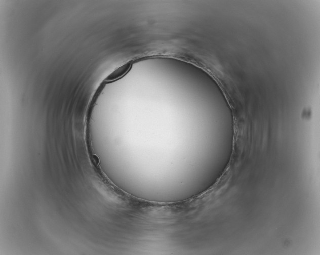 X0000090460100200707272245