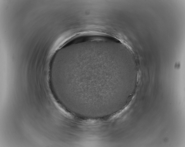 X0000090460101200707272245