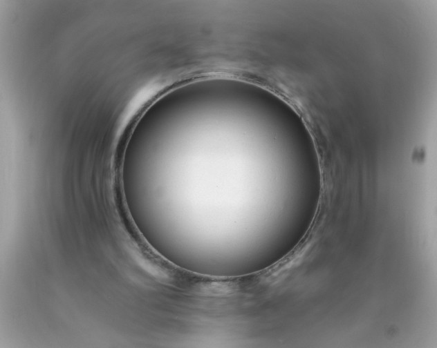 X0000090460102200707272245