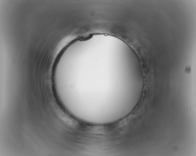 X0000090460104200707272245