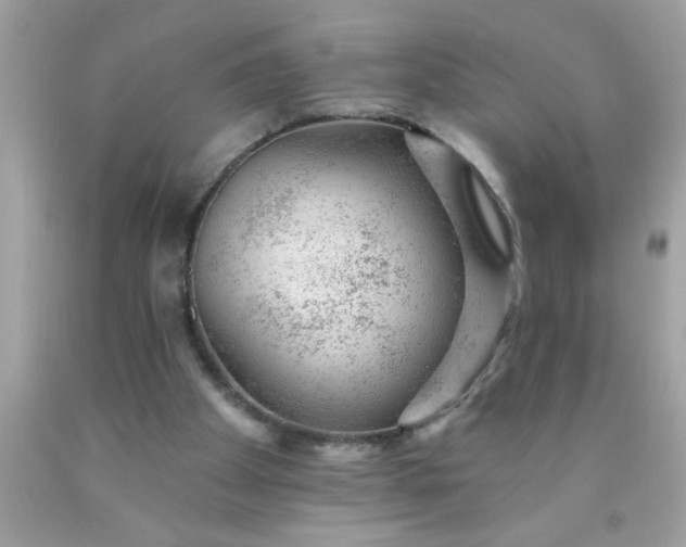 X0000090460105200707272245