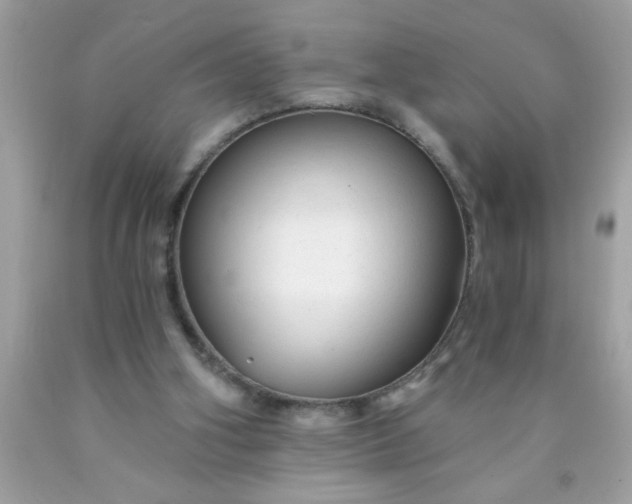 X0000090460106200707272245