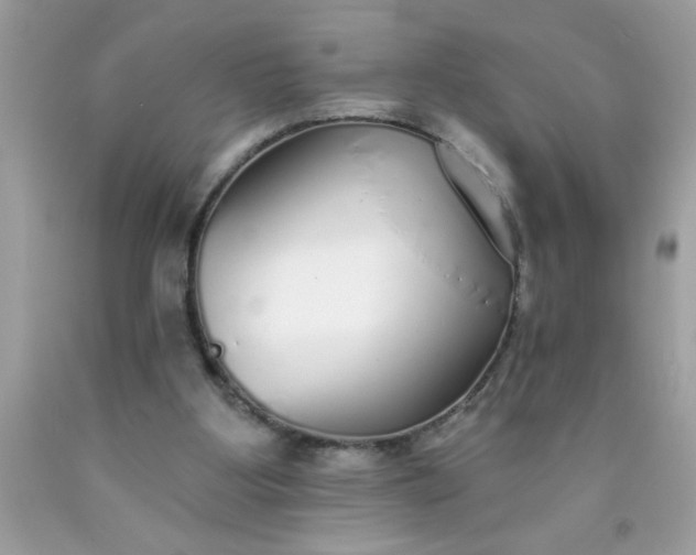 X0000090460107200707272245