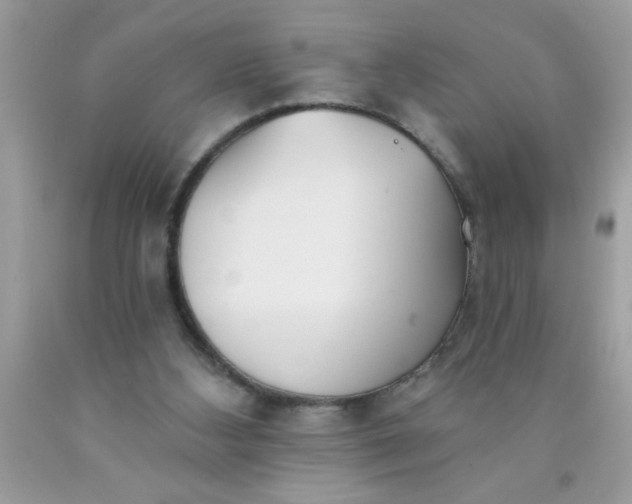 X0000090460108200707272245