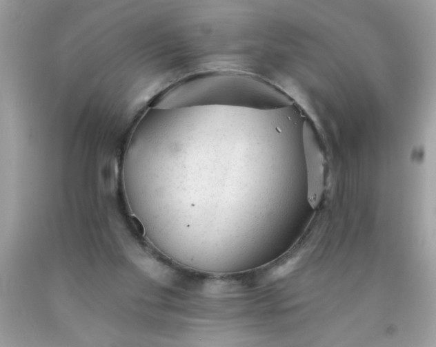 X0000090460109200707272245