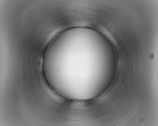 X0000090460110200707272245