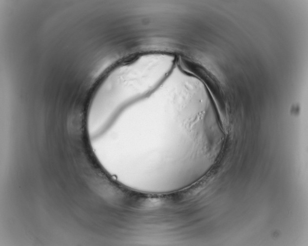 X0000090460111200707272245