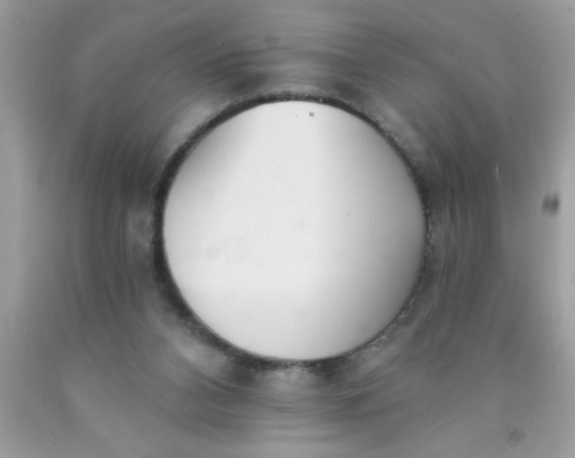 X0000090460112200707272245