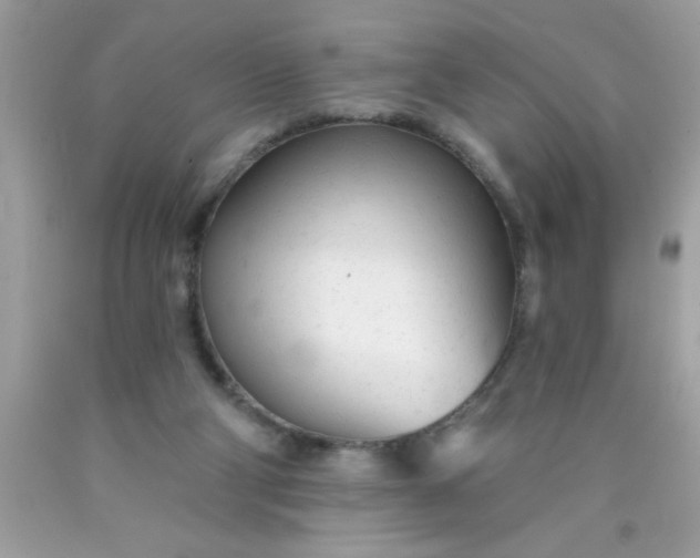 X0000090460114200707272245
