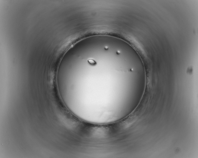 X0000090460115200707272245