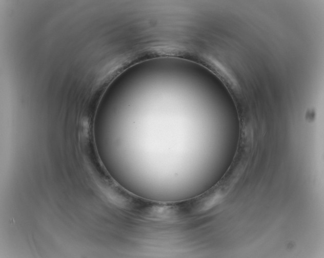 X0000090460117200707272245