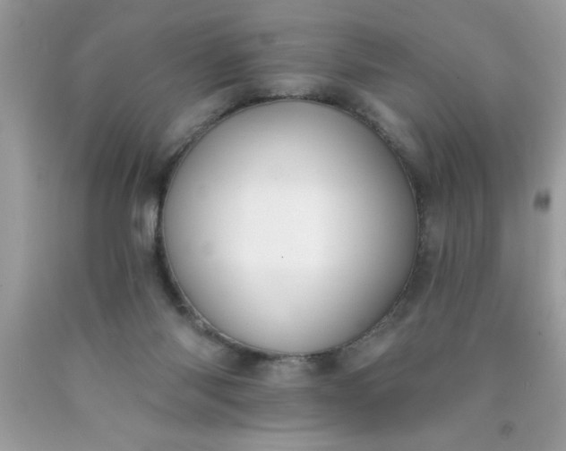 X0000090460118200707272245