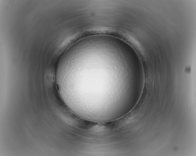 X0000090460119200707272245