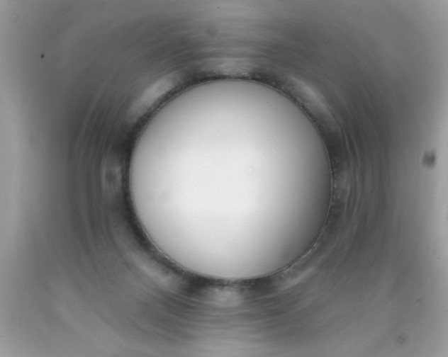 X0000090460120200707272245