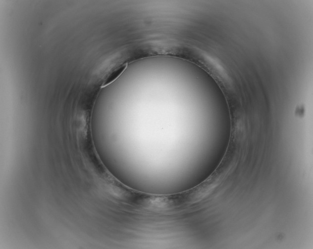 X0000090460121200707272245