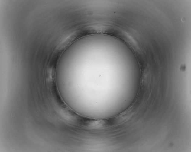 X0000090460122200707272245