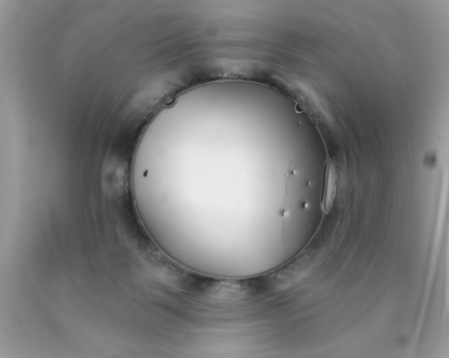 X0000090460123200707272245