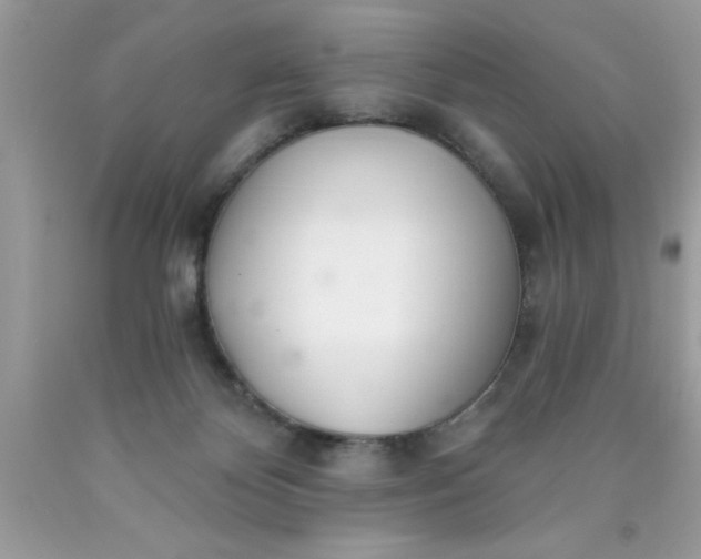 X0000090460124200707272245