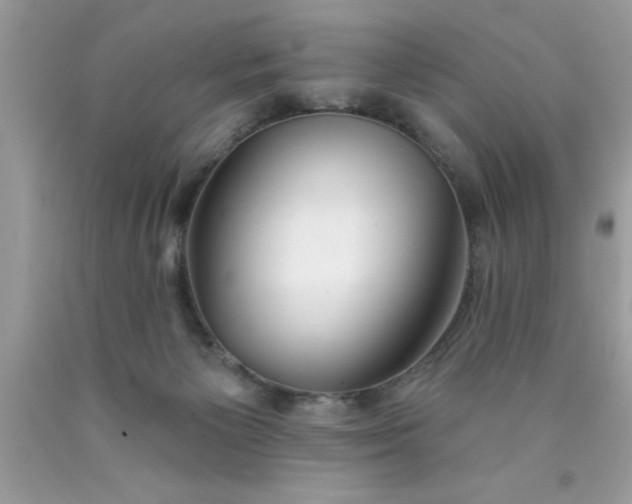 X0000090460125200707272245