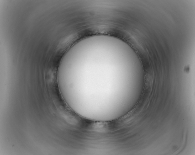 X0000090460126200707272245