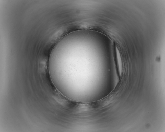 X0000090460127200707272245