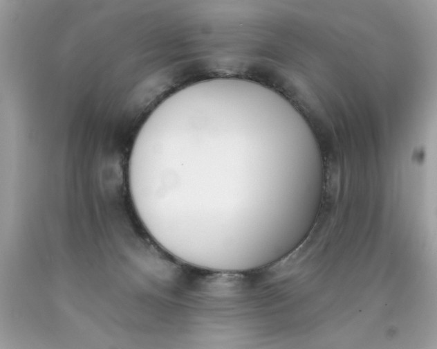 X0000090460128200707272245